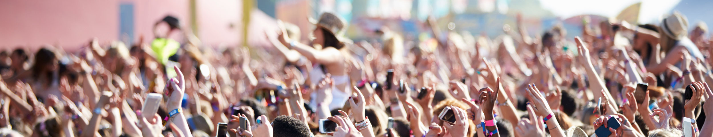 Festival Crowd